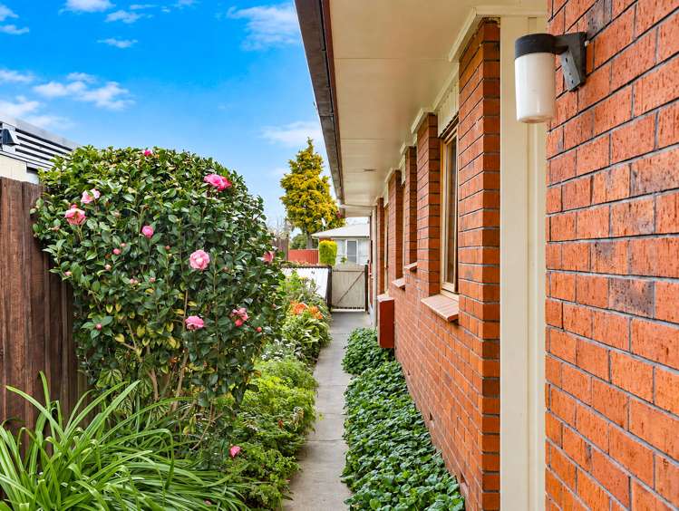 19 Winstone Avenue Chartwell_28