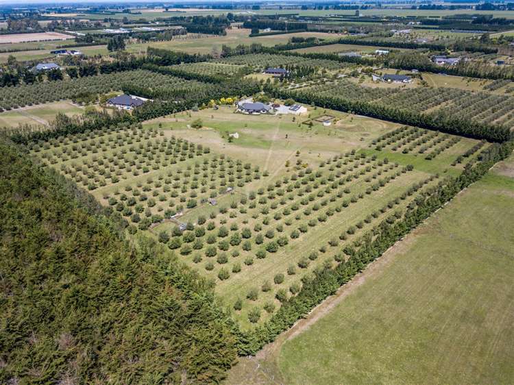 57 Alessio Lane Swannanoa_29