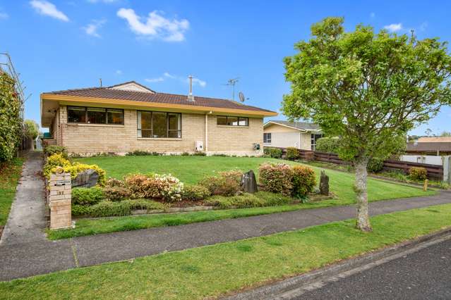 37 Seales Road Morrinsville_1