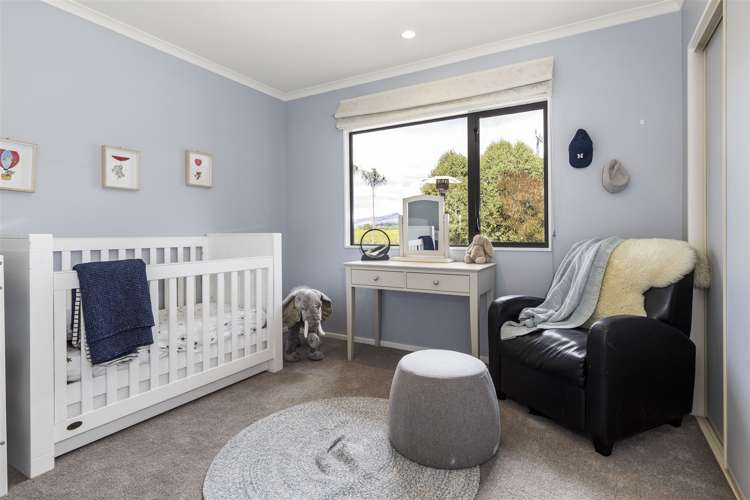 59 Anglesea Street Renwick_15