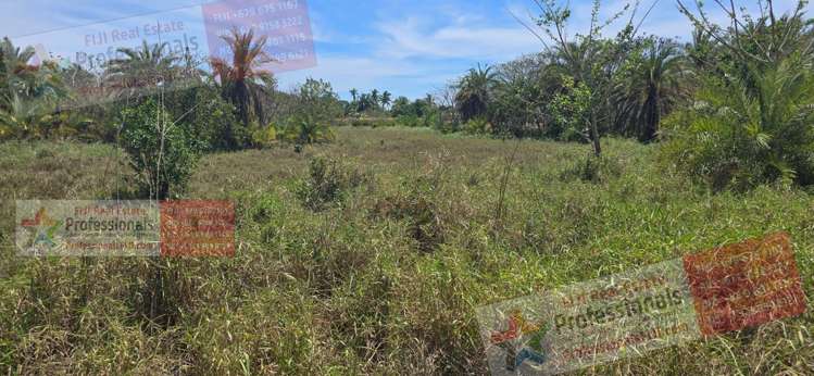Address withheld Denarau_12