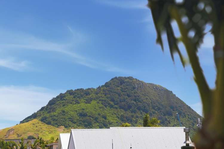 75 Campbell Road Mt Maunganui_22