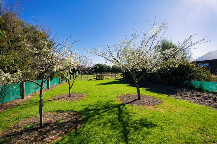 238a Mt Fyffe Road Kaikoura_27