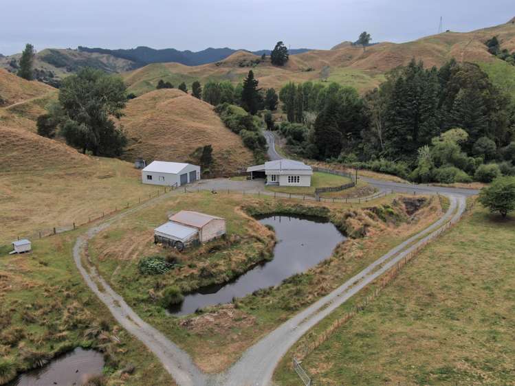 3062 State Highway 4 Aria_8