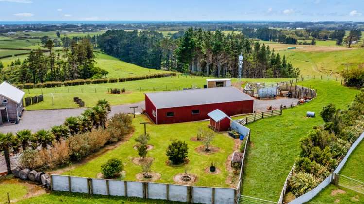 169 Hursthouse Road Tarurutangi_19