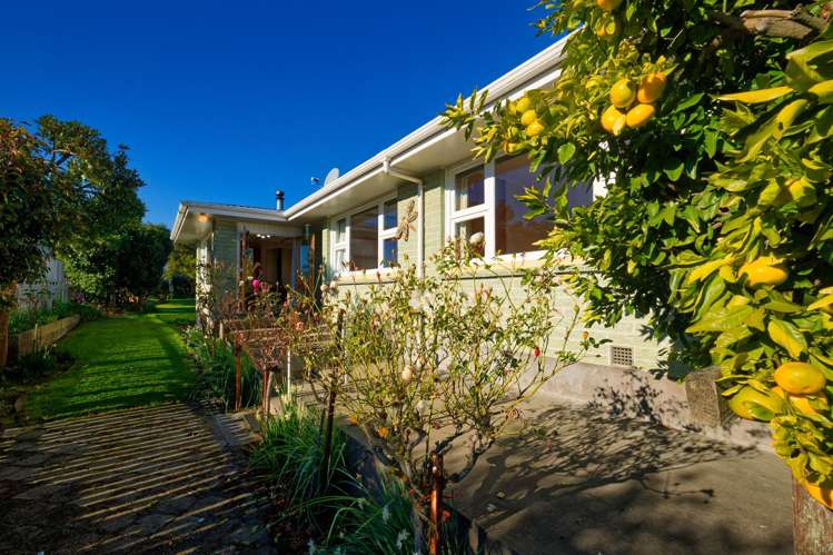 163 Beach Road Kaikoura_7