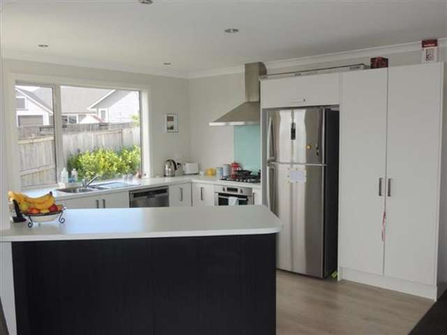 18 Ballybunnion Crescent Morrinsville_3