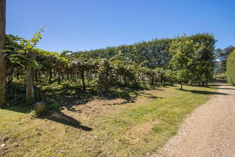 603B State Highway 2 Katikati_21