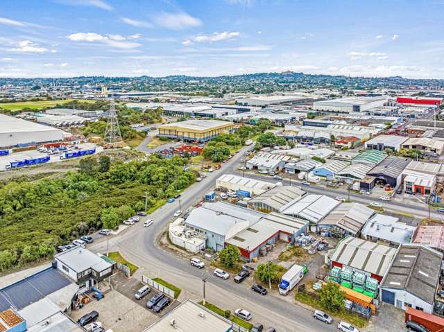 10-12 Miami Parade Onehunga_2