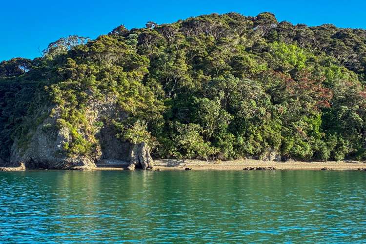 Share 18 Moturoa Island Russell_17