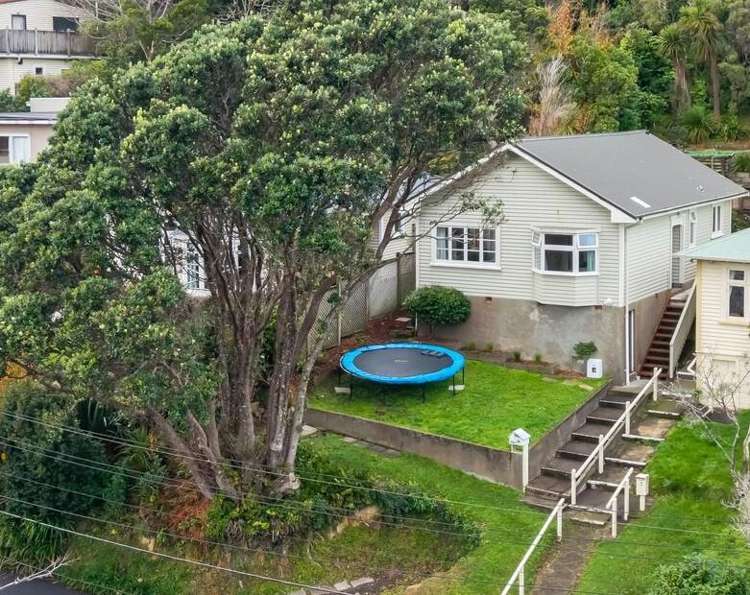 29 Rose Street Wadestown_0