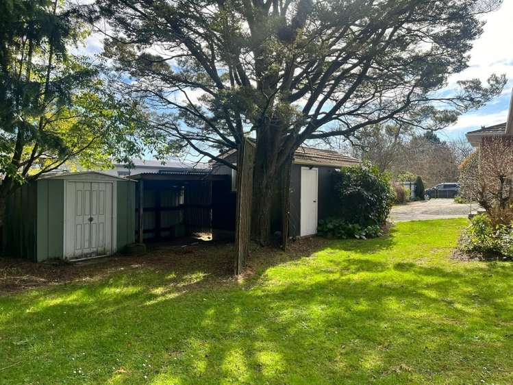 85 Northumberland Street Tapanui_16