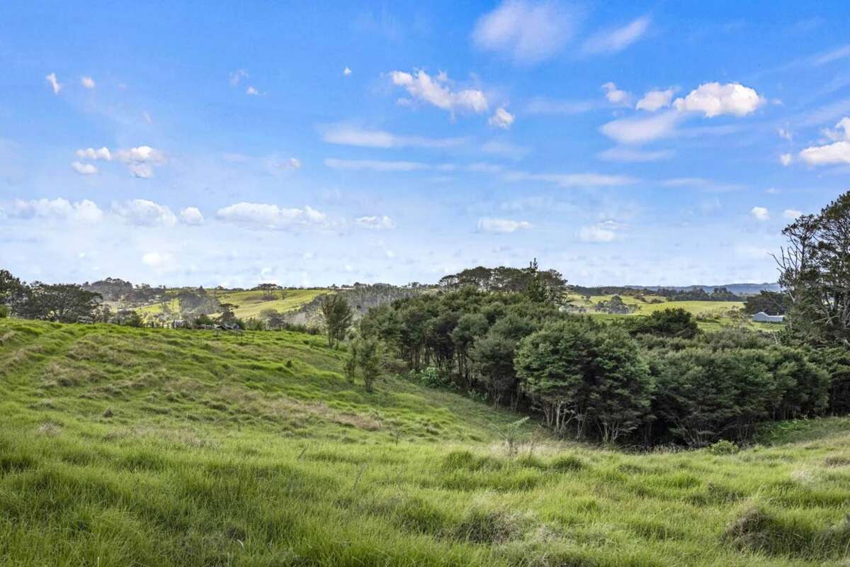 148 - 176 Waitakere Road_2