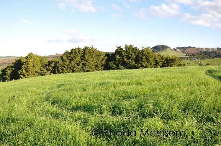 125 Jumna Road Maungaturoto_6