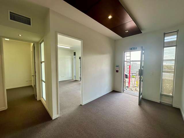 11B Augustus Terrace Parnell_3