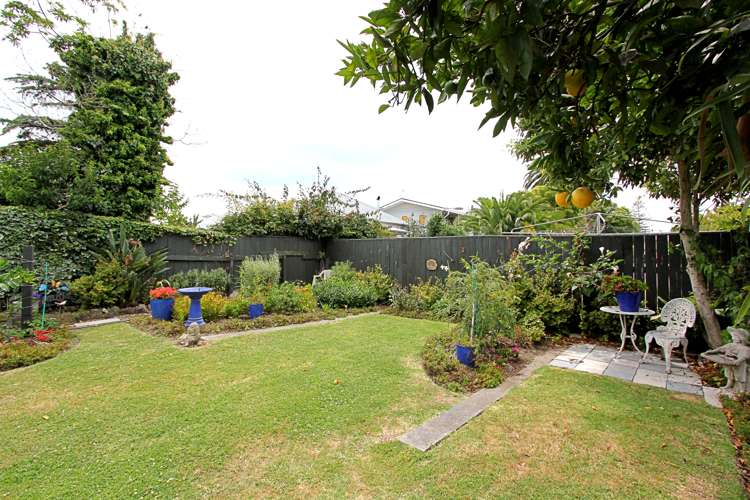 105a Nelson Crescent Napier South_11
