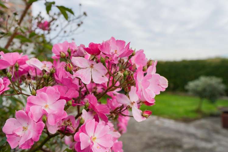 253 Argyle Otahuti Road Waianiwa_23