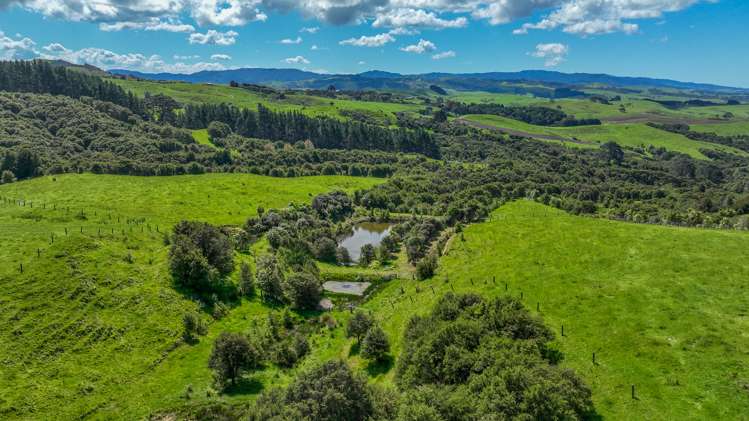 457c Findlay Road Miranda_7