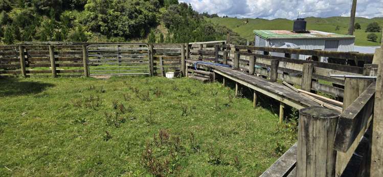 30 Heao Road Stratford_6