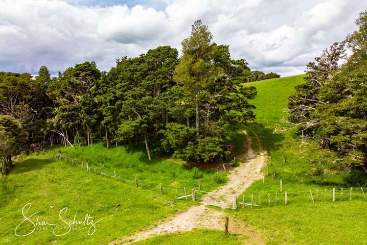 1509 Tinopai Road Tinopai_3