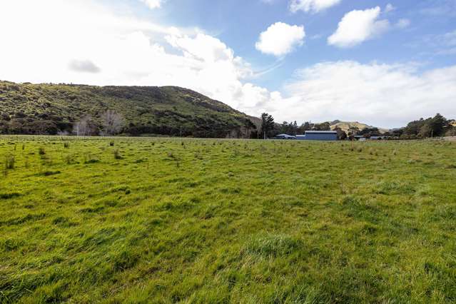 Lot Lot 1 and 4/5676 Masterton Castlepoint Road Castlepoint_3