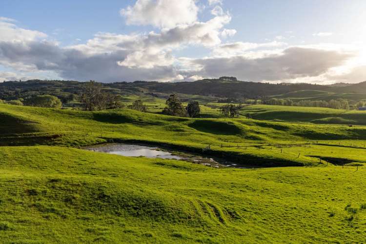 108 Range Road Kawakawa_10