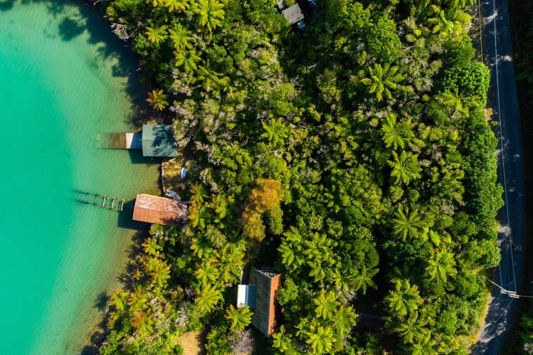 Tumbledown Bay Road Port Underwood_7