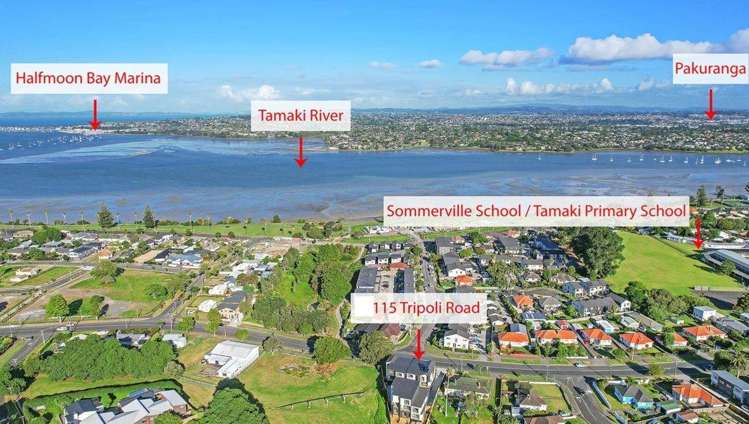 117C Tripoli Road Panmure_11