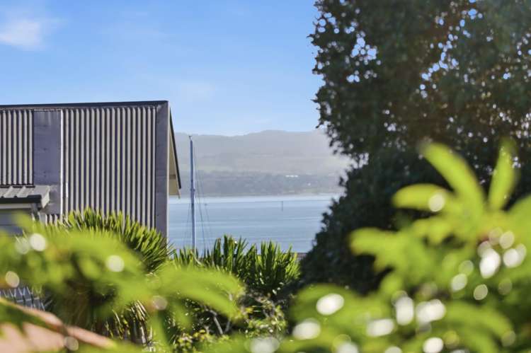 58 Nottingham Street Westmere_13