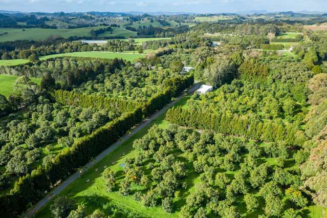 120 Bint Road Maungakaramea_2