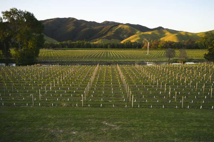 212 Selmes Road Rapaura_4