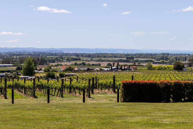 306 Te Mata Road Havelock North_1