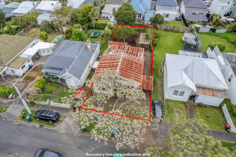 51 First Avenue Kingsland_10