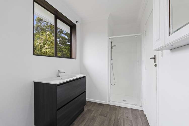 174 Huatoki Street Upper Vogeltown_8