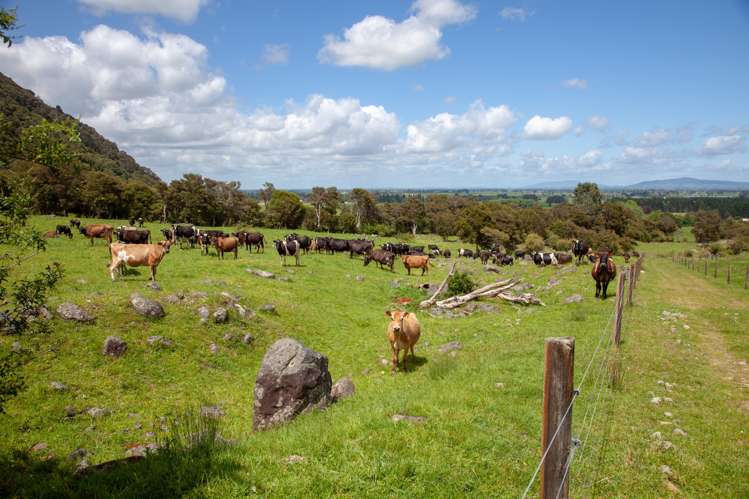 1743 Te Aroha-Gordon Road Gordon_18