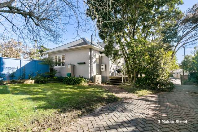 3 Mokau Street Ponsonby_3