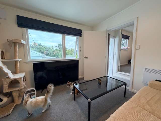  C/8 Alameda Terrace Aro Valley_4