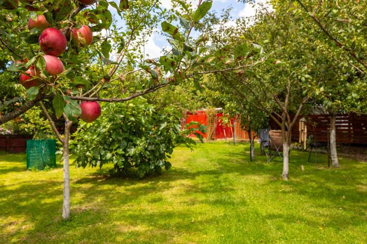 8 Stanly Street Eketahuna_14