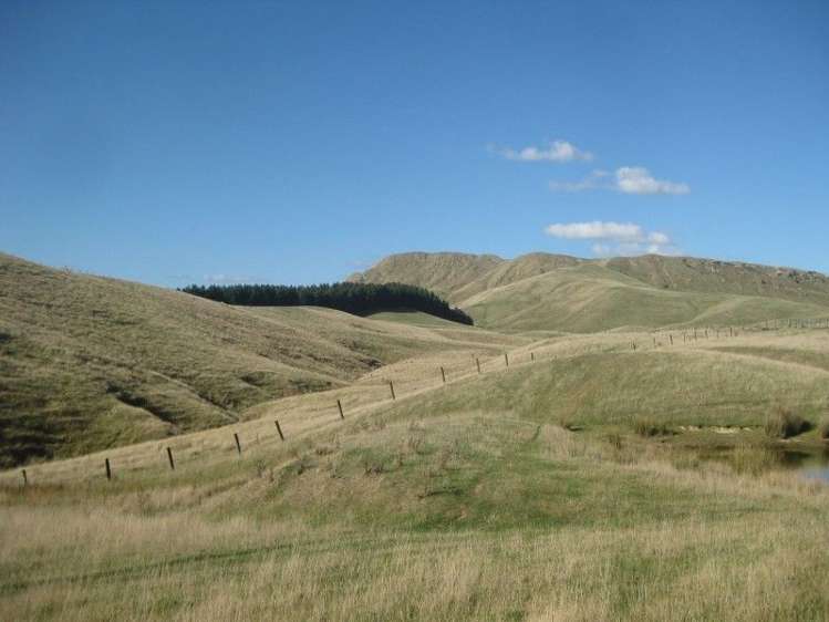 1 Akaroa Road Pongaroa_10