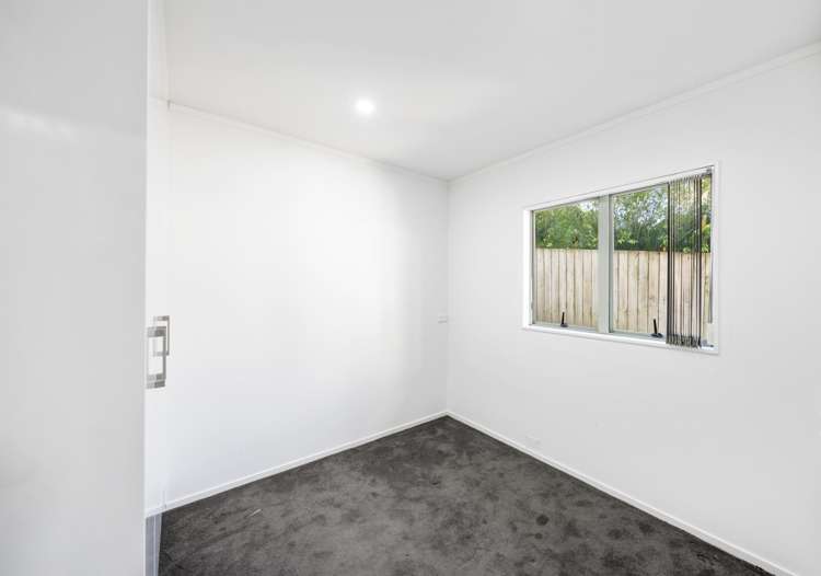 46C White Swan Road Mount Roskill_7