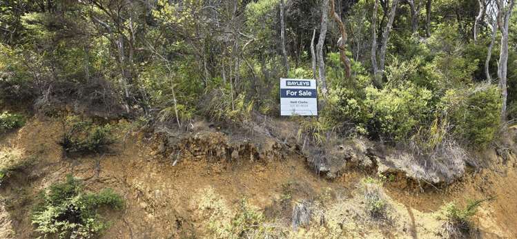 174 Shoal Bay Road Great Barrier Island (Tryphena)_9