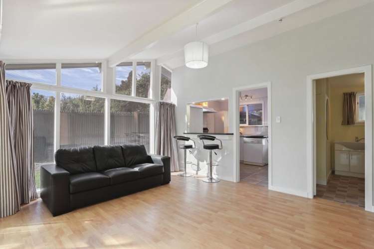 1/4 Mill Road Leithfield_7