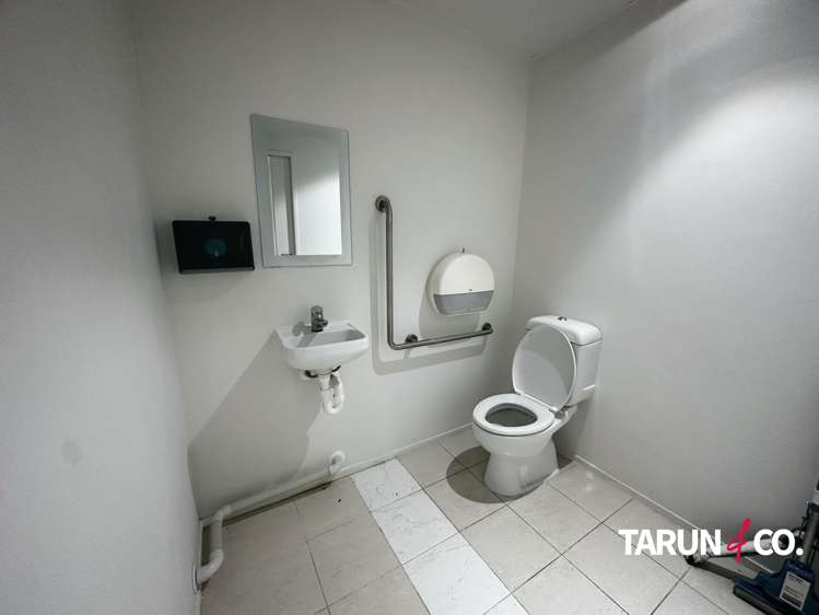 393 Parnell Road Parnell_8