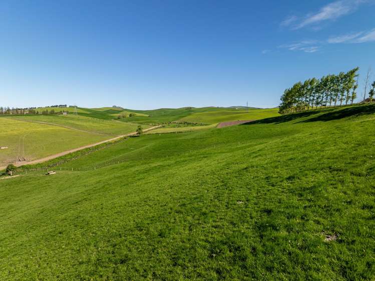 85 - 131 Garden Gully Road Te Kiteroa_19