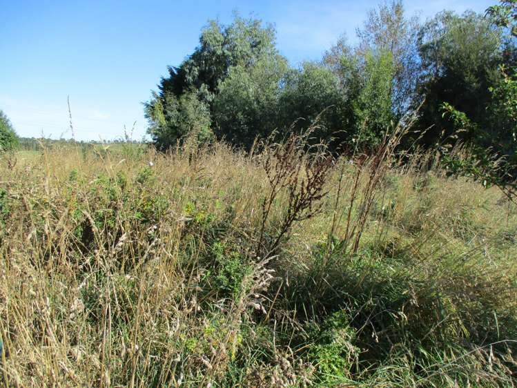 30 Manse Street Clinton and Surrounds_21