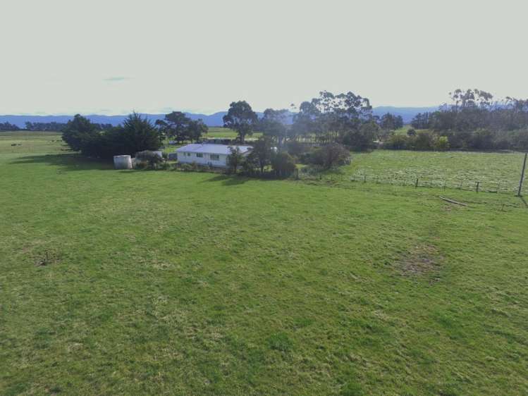 2246 Kahutara Road Kahutara_7