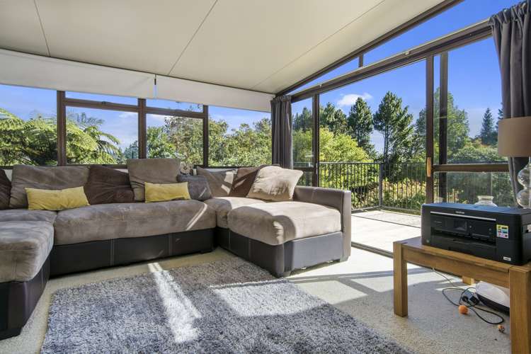 97 Ross Road Whakamarama_10