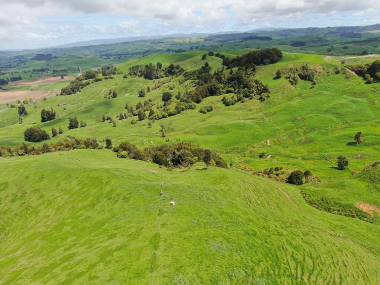 Lot (Rural)/1246 State Highway 3 Piopio_23