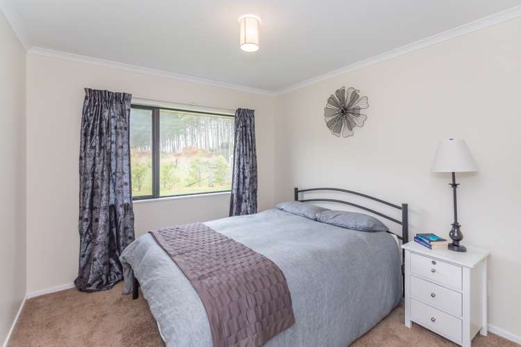 127 Palmer Road Foxton Beach_8