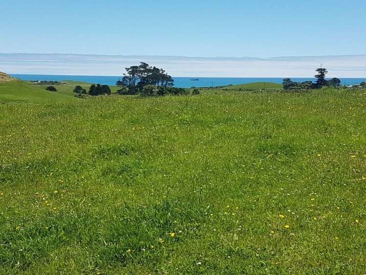 80 Koru Road Omata_20